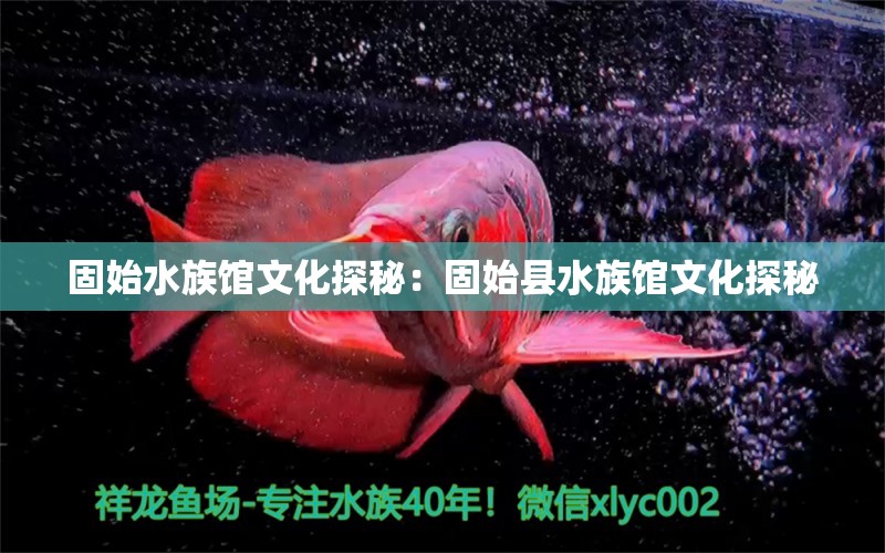 固始水族馆文化探秘：固始县水族馆文化探秘 鱼缸百科 第2张