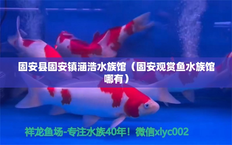 固安县固安镇涵浩水族馆（固安观赏鱼水族馆哪有）