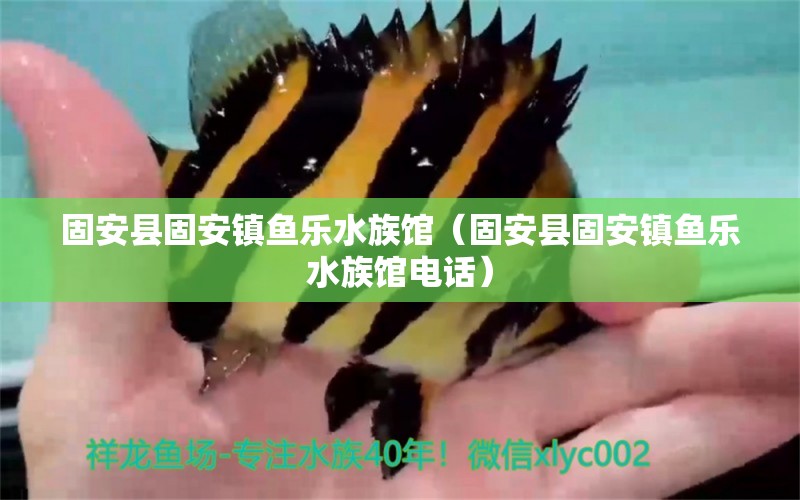 固安县固安镇鱼乐水族馆（固安县固安镇鱼乐水族馆电话） 全国水族馆企业名录