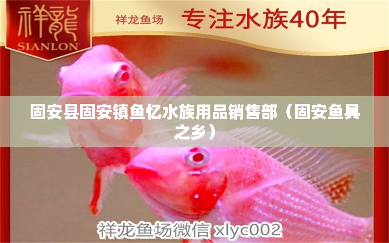 固安县固安镇鱼忆水族用品销售部（固安鱼具之乡）