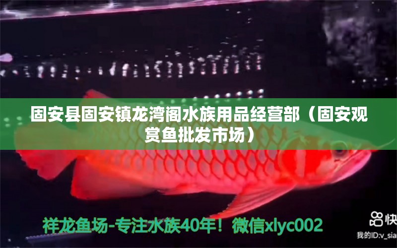 固安县固安镇龙湾阁水族用品经营部（固安观赏鱼批发市场）