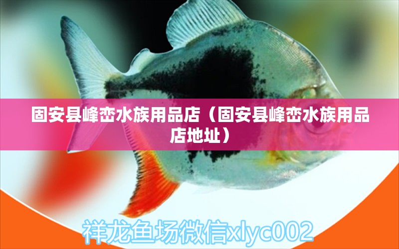 固安县峰峦水族用品店（固安县峰峦水族用品店地址） 水族用品