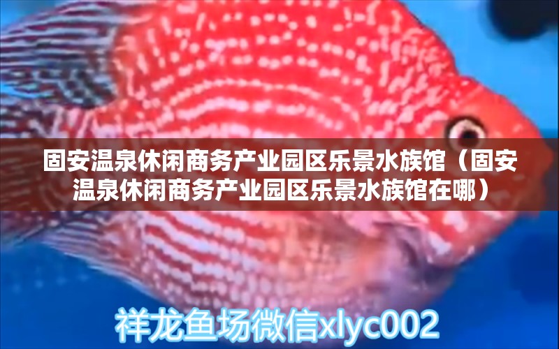 固安温泉休闲商务产业园区乐景水族馆（固安温泉休闲商务产业园区乐景水族馆在哪）