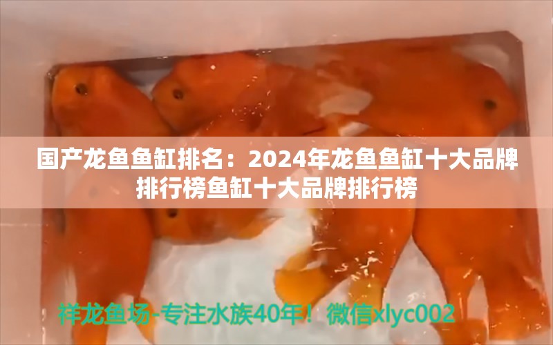 国产龙鱼鱼缸排名：2024年龙鱼鱼缸十大品牌排行榜鱼缸十大品牌排行榜