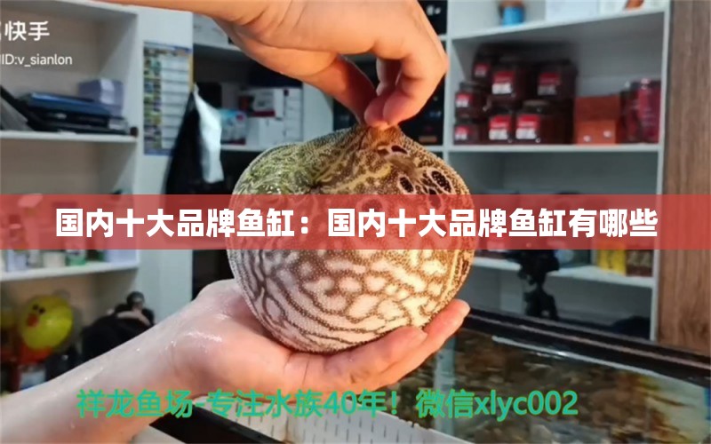 国内十大品牌鱼缸：国内十大品牌鱼缸有哪些