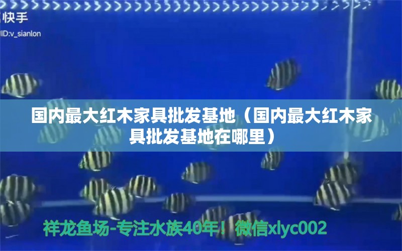 国内最大红木家具批发基地（国内最大红木家具批发基地在哪里） 文玩