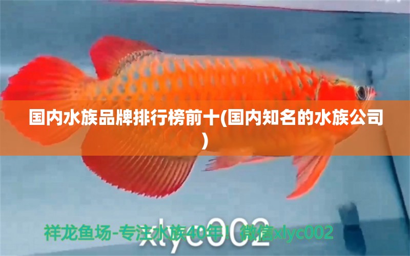 国内水族品牌排行榜前十(国内知名的水族公司) 水族品牌