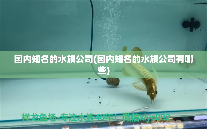 国内知名的水族公司(国内知名的水族公司有哪些)