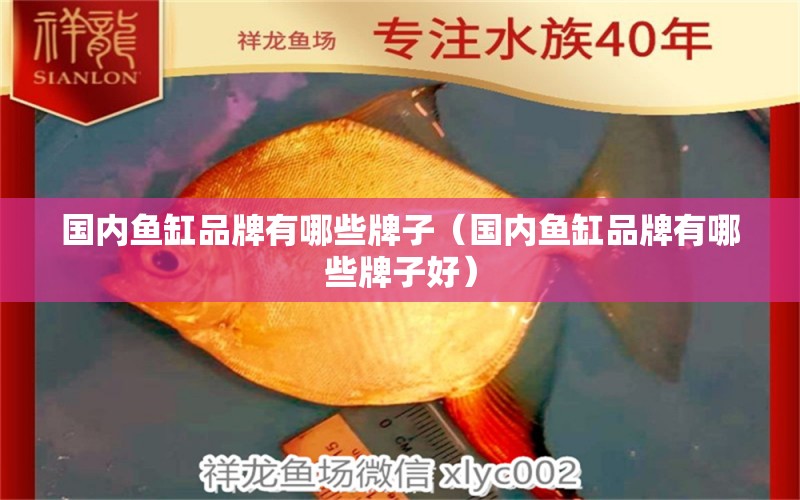 国内鱼缸品牌有哪些牌子（国内鱼缸品牌有哪些牌子好）