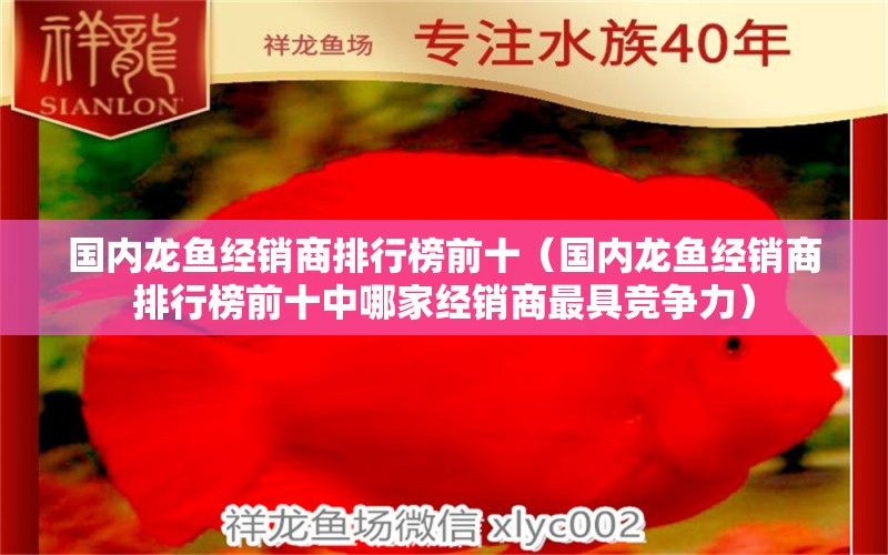 国内龙鱼经销商排行榜前十（国内龙鱼经销商排行榜前十中哪家经销商最具竞争力） 水族问答 第1张