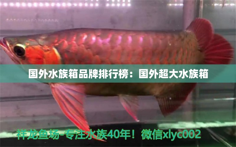 国外水族箱品牌排行榜：国外超大水族箱