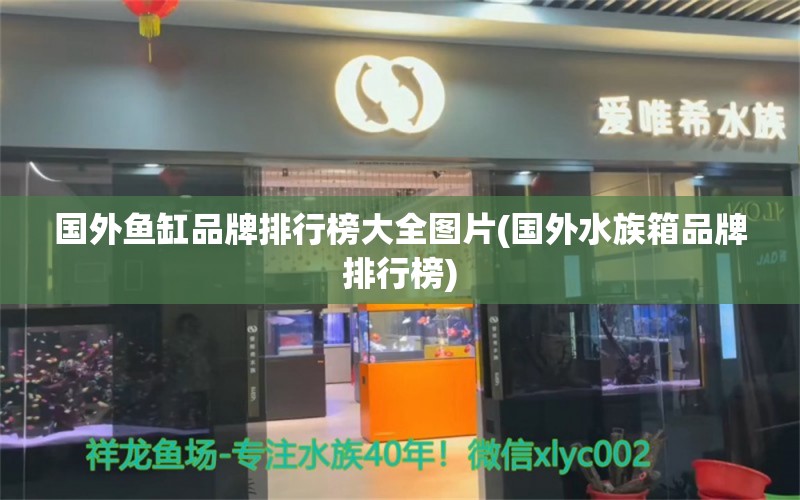 国外鱼缸品牌排行榜大全图片(国外水族箱品牌排行榜) 鱼缸/水族箱