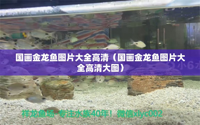 国画金龙鱼图片大全高清（国画金龙鱼图片大全高清大图） 祥龙水族医院