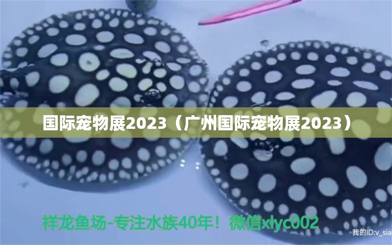 国际宠物展2023（广州国际宠物展2023） 广州水族批发市场