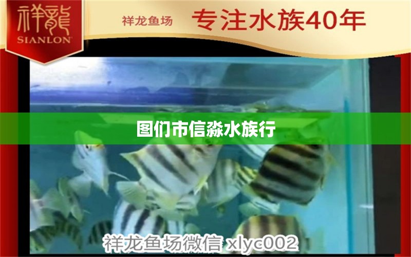 图们市信淼水族行