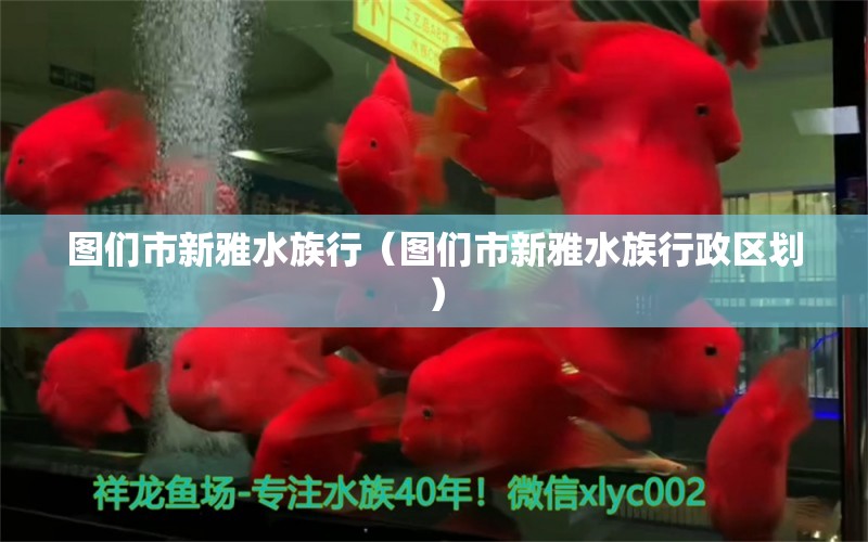 图们市新雅水族行（图们市新雅水族行政区划）