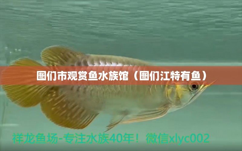 图们市观赏鱼水族馆（图们江特有鱼）