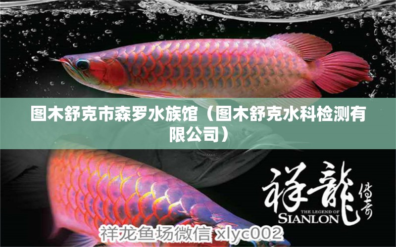 图木舒克市森罗水族馆（图木舒克水科检测有限公司） 全国水族馆企业名录