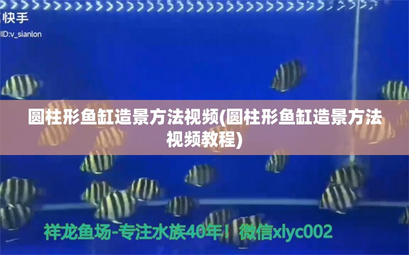 圆柱形鱼缸造景方法视频(圆柱形鱼缸造景方法视频教程) 肥料