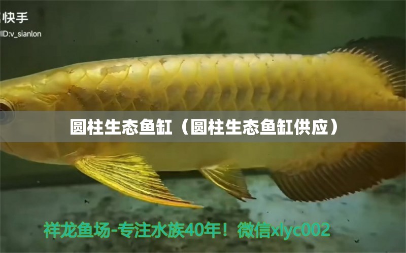 圆柱生态鱼缸（圆柱生态鱼缸供应） 观赏鱼水族批发市场