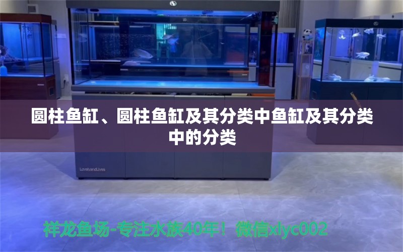 圆柱鱼缸、圆柱鱼缸及其分类中鱼缸及其分类中的分类 广州龙鱼批发市场