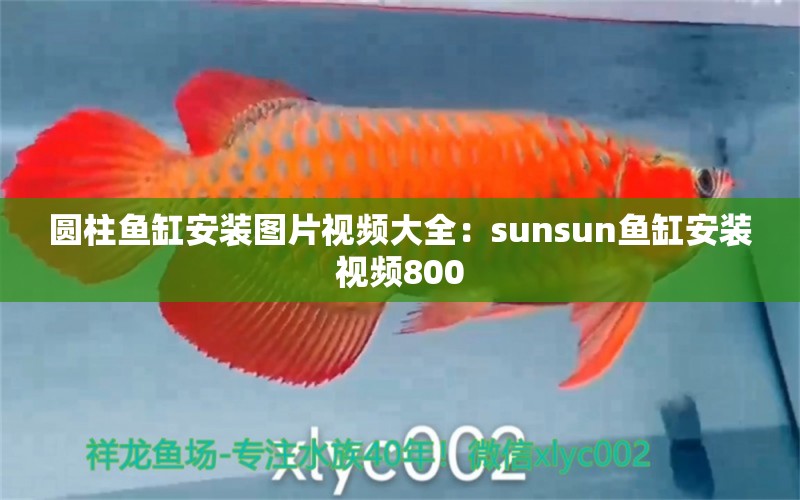 圆柱鱼缸安装图片视频大全：sunsun鱼缸安装视频800