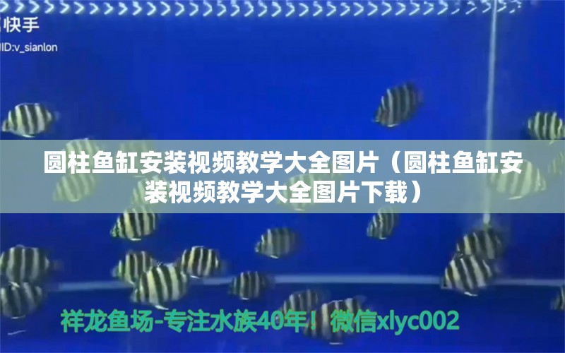 圆柱鱼缸安装视频教学大全图片（圆柱鱼缸安装视频教学大全图片下载）