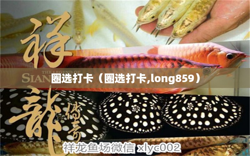 圈选打卡（圈选打卡,long859） 观赏鱼论坛 第2张