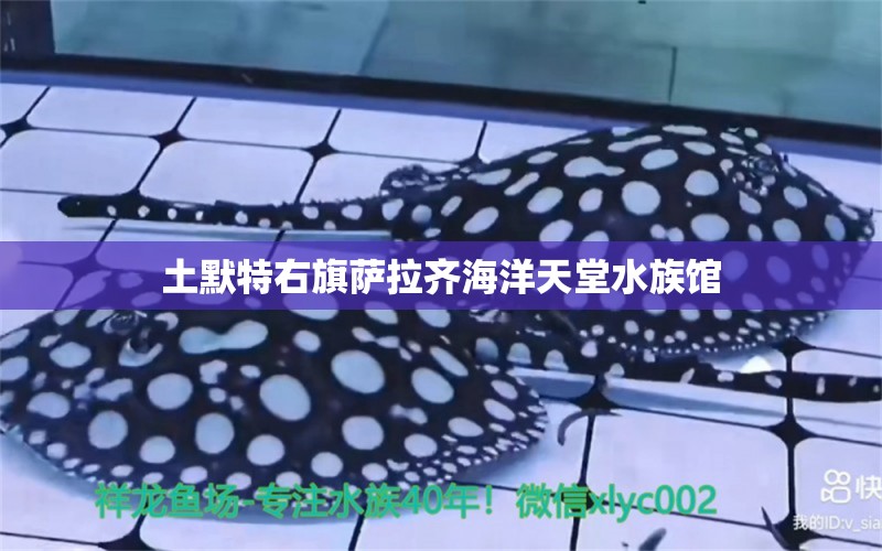 土默特右旗萨拉齐海洋天堂水族馆