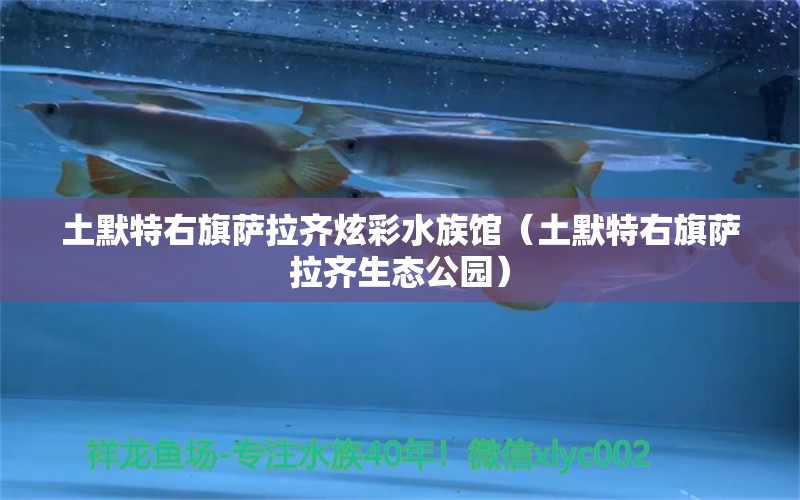 土默特右旗萨拉齐炫彩水族馆（土默特右旗萨拉齐生态公园）