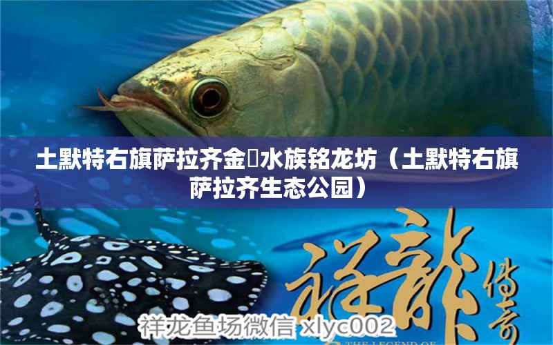 土默特右旗萨拉齐金竜水族铭龙坊（土默特右旗萨拉齐生态公园） 全国水族馆企业名录