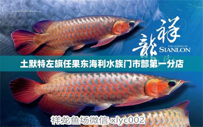 土默特左旗任果东海利水族门市部第一分店