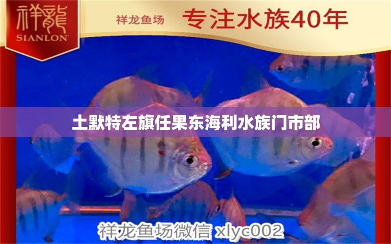 土默特左旗任果东海利水族门市部