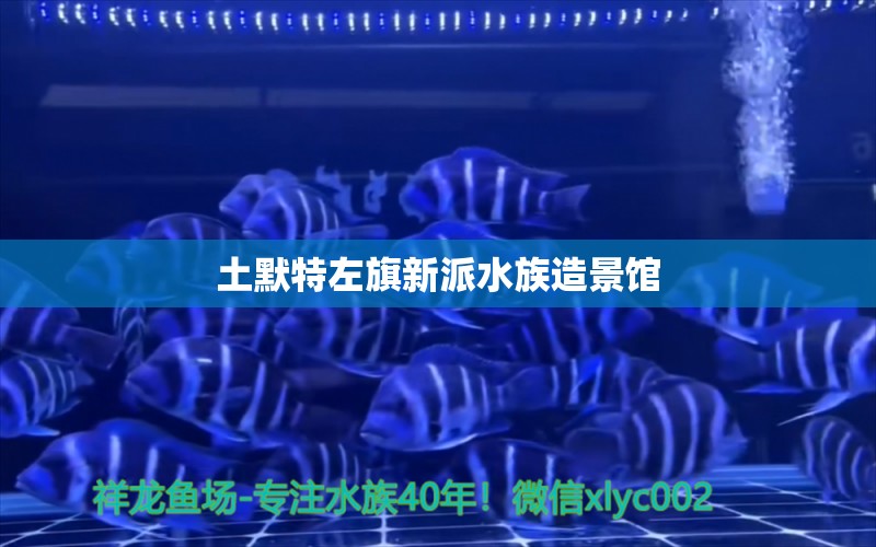 土默特左旗新派水族造景馆