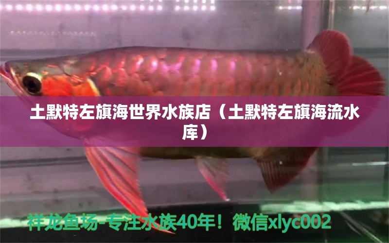 土默特左旗海世界水族店（土默特左旗海流水库） 全国水族馆企业名录