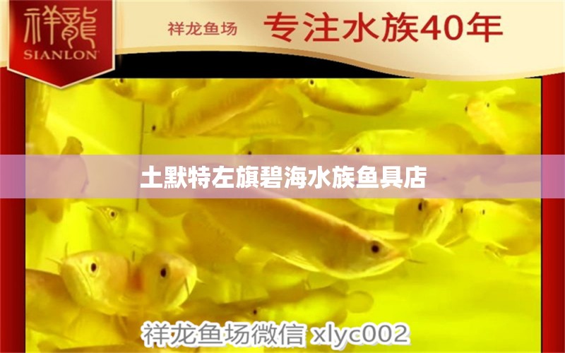 土默特左旗碧海水族鱼具店 全国水族馆企业名录