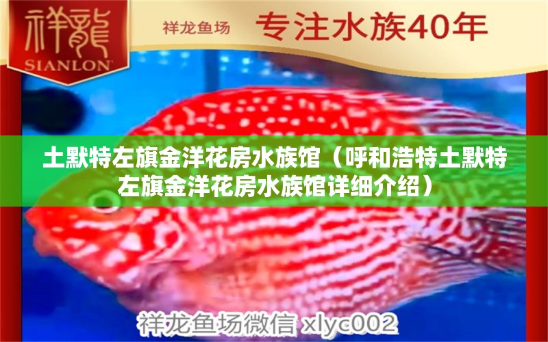 土默特左旗金洋花房水族馆（呼和浩特土默特左旗金洋花房水族馆详细介绍） 全国观赏鱼市场 第2张