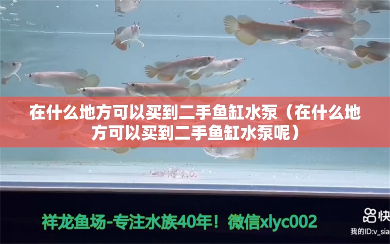 在什么地方可以买到二手鱼缸水泵（在什么地方可以买到二手鱼缸水泵呢）