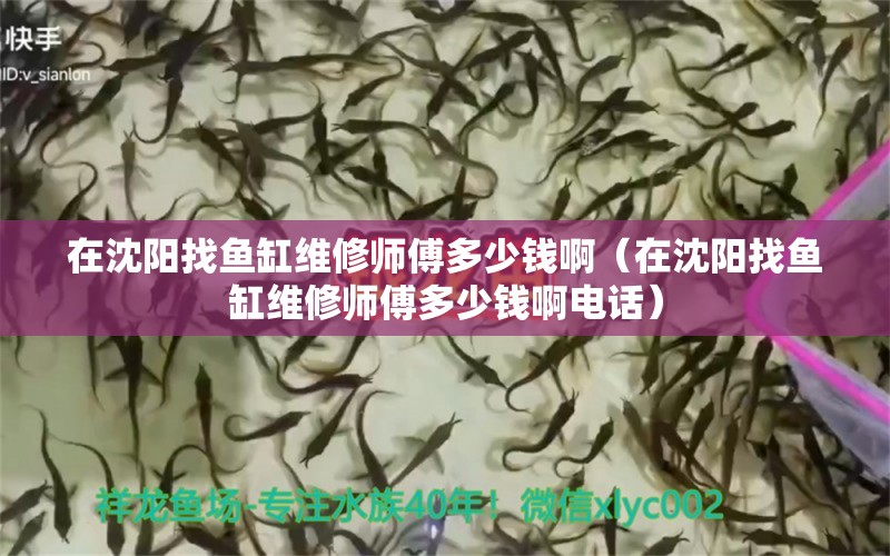 在沈阳找鱼缸维修师傅多少钱啊（在沈阳找鱼缸维修师傅多少钱啊电话）