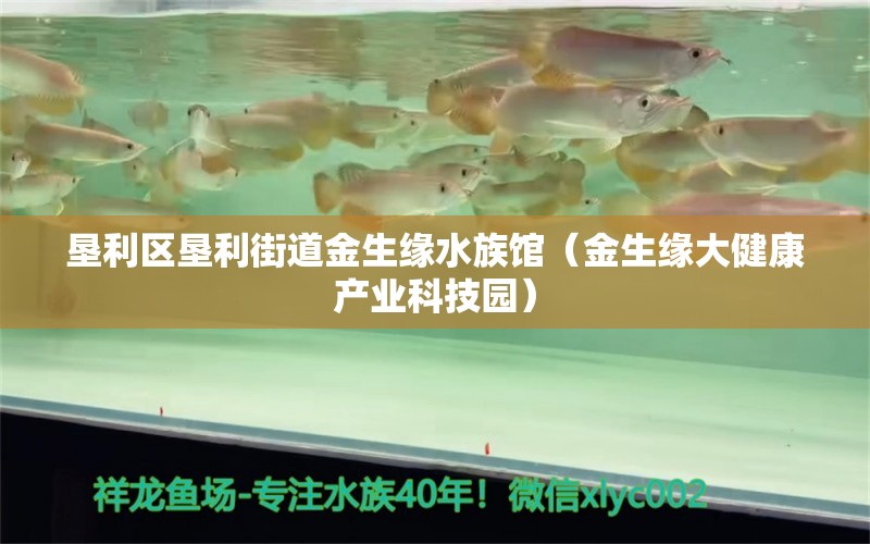 垦利区垦利街道金生缘水族馆（金生缘大健康产业科技园） 全国水族馆企业名录