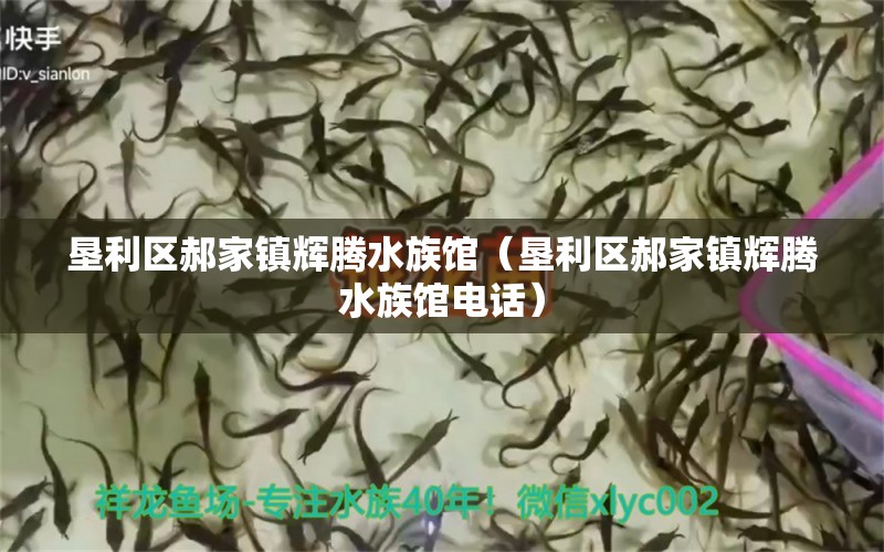 垦利区郝家镇辉腾水族馆（垦利区郝家镇辉腾水族馆电话）