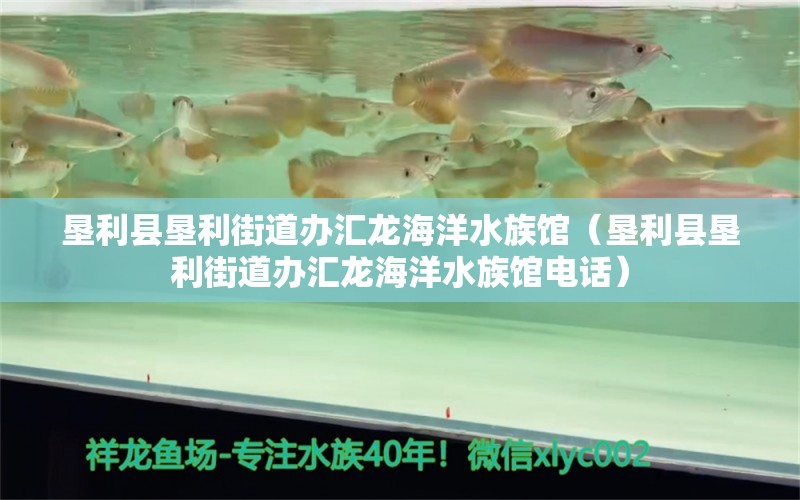 垦利县垦利街道办汇龙海洋水族馆（垦利县垦利街道办汇龙海洋水族馆电话）