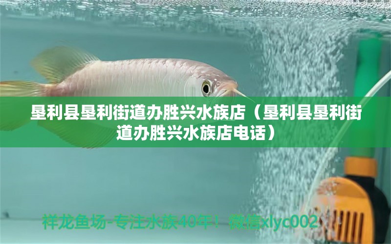 垦利县垦利街道办胜兴水族店（垦利县垦利街道办胜兴水族店电话）