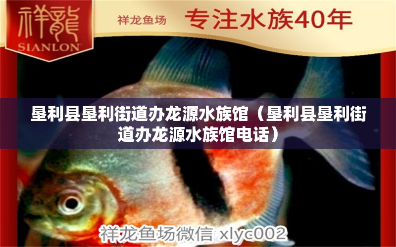 垦利县垦利街道办龙源水族馆（垦利县垦利街道办龙源水族馆电话） 全国水族馆企业名录