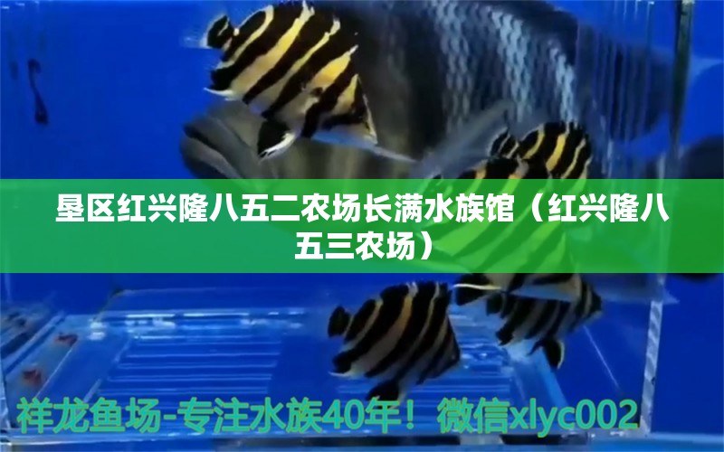 垦区红兴隆八五二农场长满水族馆（红兴隆八五三农场） 全国水族馆企业名录