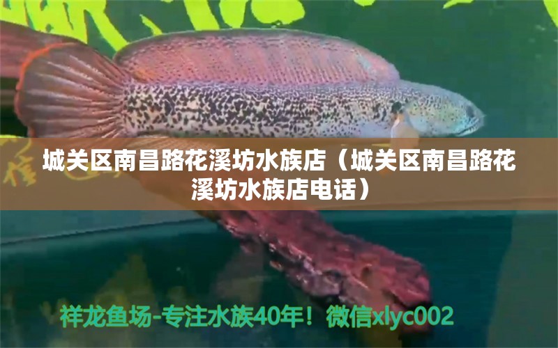 城关区南昌路花溪坊水族店（城关区南昌路花溪坊水族店电话） 全国水族馆企业名录