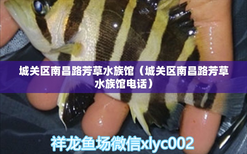 城关区南昌路芳草水族馆（城关区南昌路芳草水族馆电话） 全国水族馆企业名录