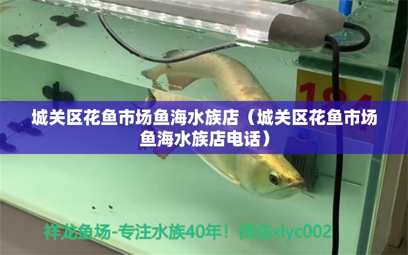 城关区花鱼市场鱼海水族店（城关区花鱼市场鱼海水族店电话） 全国水族馆企业名录