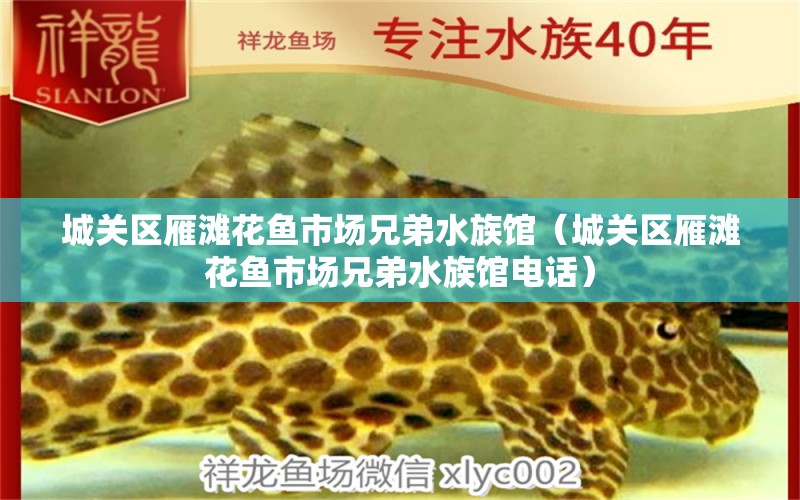 城关区雁滩花鱼市场兄弟水族馆（城关区雁滩花鱼市场兄弟水族馆电话） 全国水族馆企业名录