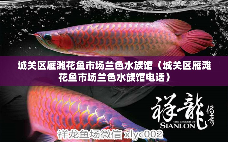 城关区雁滩花鱼市场兰色水族馆（城关区雁滩花鱼市场兰色水族馆电话）